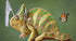 Chameleon & Butterfly Diamond Painting